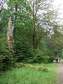 2011- 107.jpg